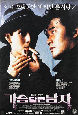 繁花 剧集 2024 王家卫